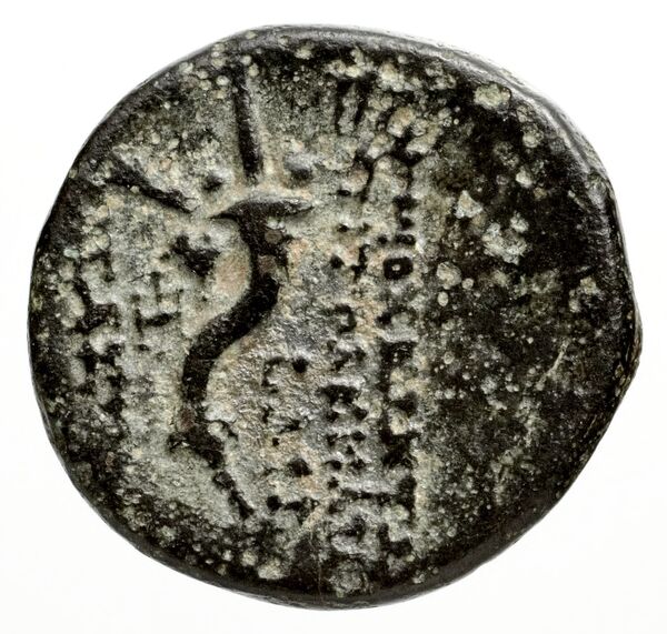 Ptolemais-Ake Kadman 1961 11-44, реверс, BnF (IRIS)