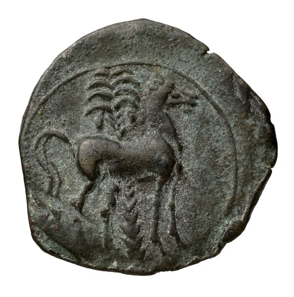 Carthaginian Empire Carthage Alexandropoulos 2007 18, реверс, bnf-iris