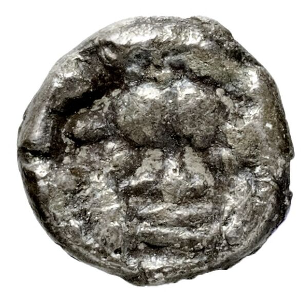 реверс Sidon Elayi 2004 II.5