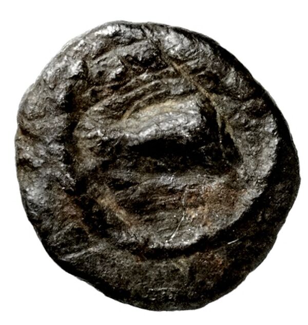 Tyre Elayi 2009 III.1.2.e, аверс, bnf-iris