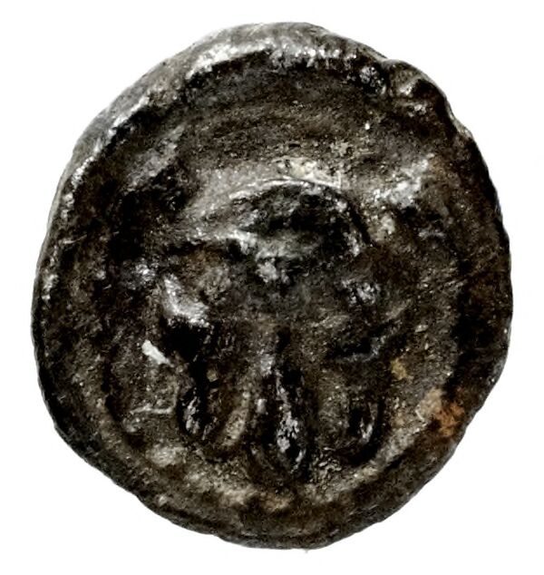 Tyre Elayi 2009 III.1.2.e, реверс, bnf-iris