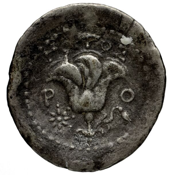 Rhodes Rhodes Ashton 2001 333, реверс, BnF (IRIS)