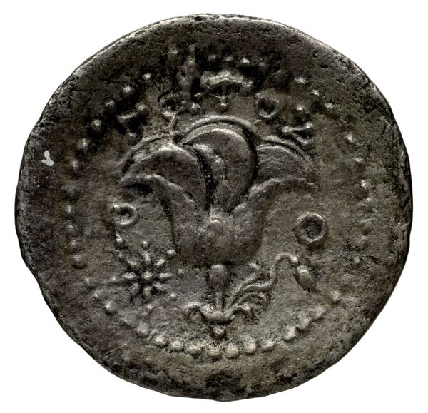 Rhodes Rhodes Ashton 2001 333, реверс, BnF (IRIS)