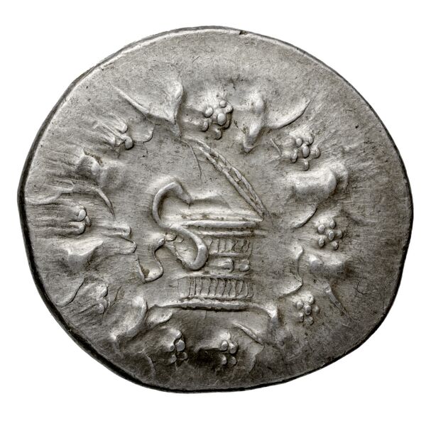 аверс Tralles Carbone 2020 XIV, tetradrachms