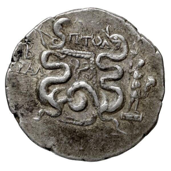 реверс Tralles Carbone 2020 XXXIII, tetradrachms