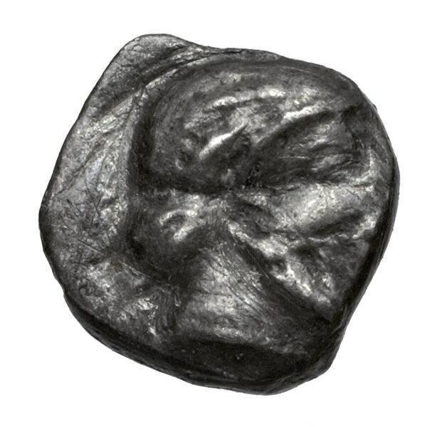 Gaza Gitler and Tal 2006 4.3.VI.13, аверс, bnf-iris