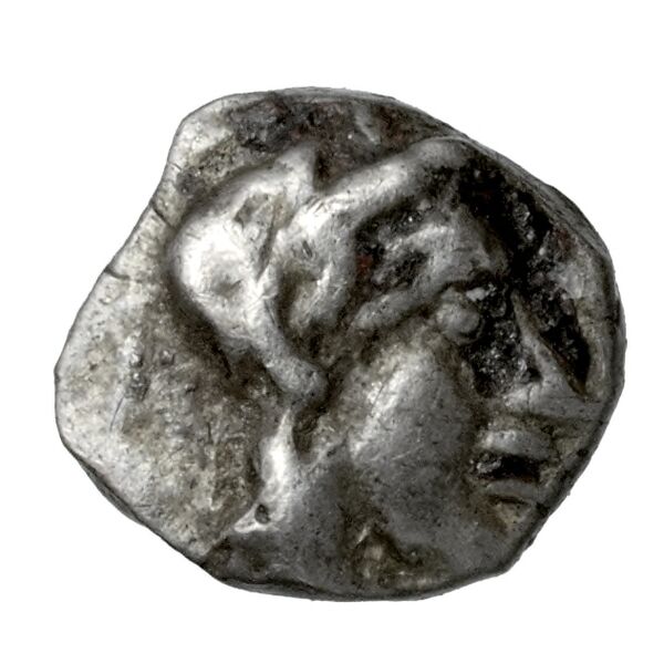 obverse Philistia Gitler and Tal 2006 4.4.VII.1-5