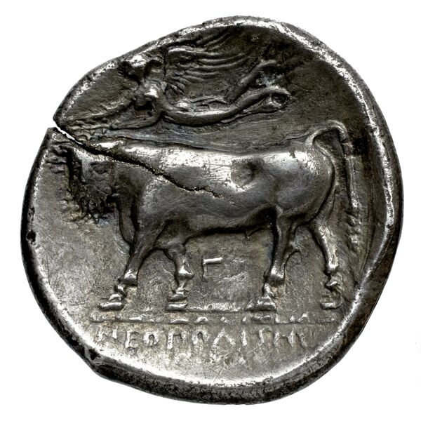 Neapolis Historia Numorum Italy 563, реверс, bnf-iris