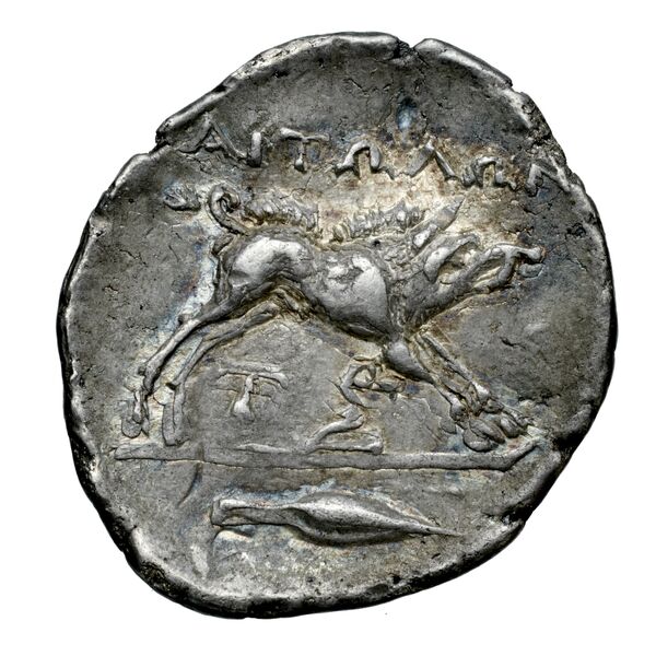 Aetolian League Aetolia Tsangari 2007 Series V, 1128-1396, реверс, bnf-iris