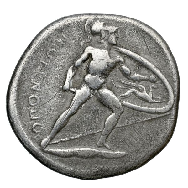 Locri Opuntii (Opus) Morineau and Delbridge 2014 Stater group 1-28; drachm group 1; triobol group 1-11, реверс, bnf-iris
