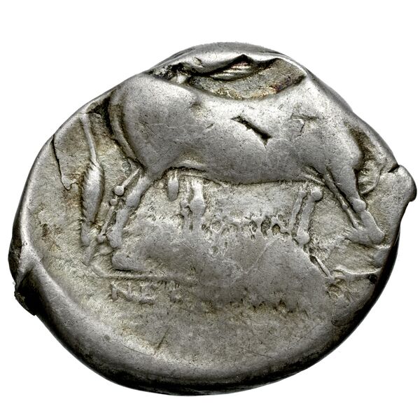 Neapolis Historia Numorum Italy 576, реверс, bnf-iris