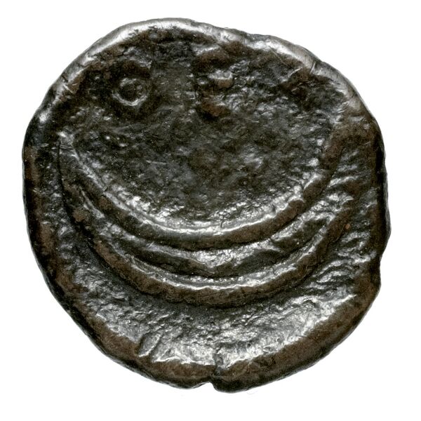 Thespiae Babelon 1914 363, реверс, bnf-iris