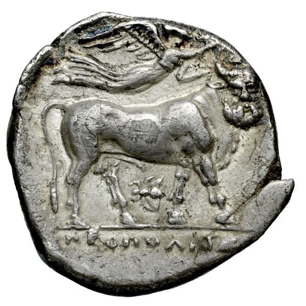 Neapolis Historia Numorum Italy 579, реверс, bnf-iris
