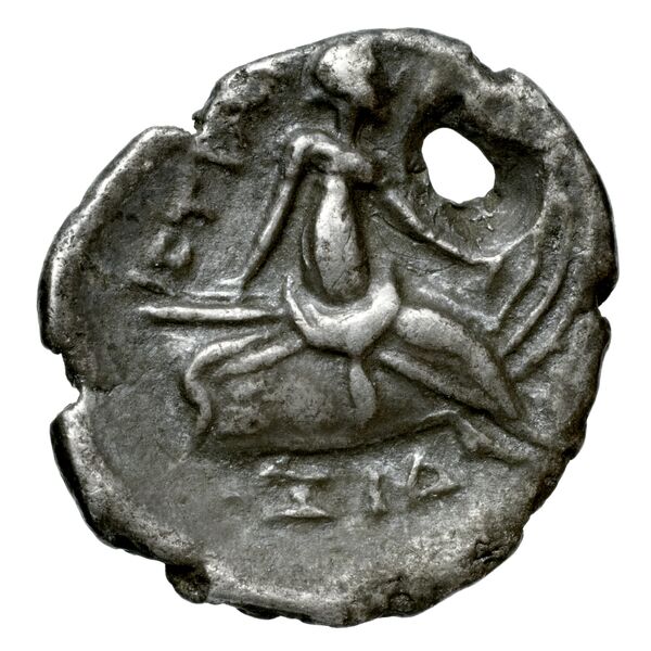 Histiaea BMC Histiaea 31-130, реверс, bnf-iris