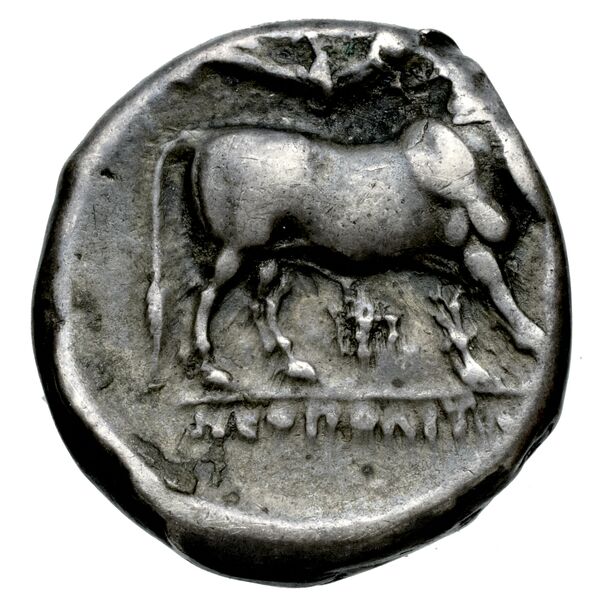 Neapolis Historia Numorum Italy 571, реверс, bnf-iris