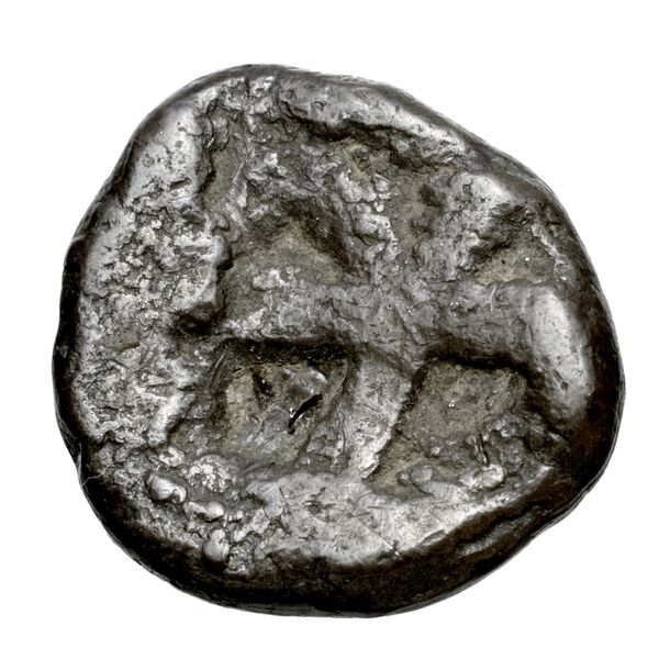 Aegina Meadows and Askari, forthcoming 3b, реверс, bnf-iris