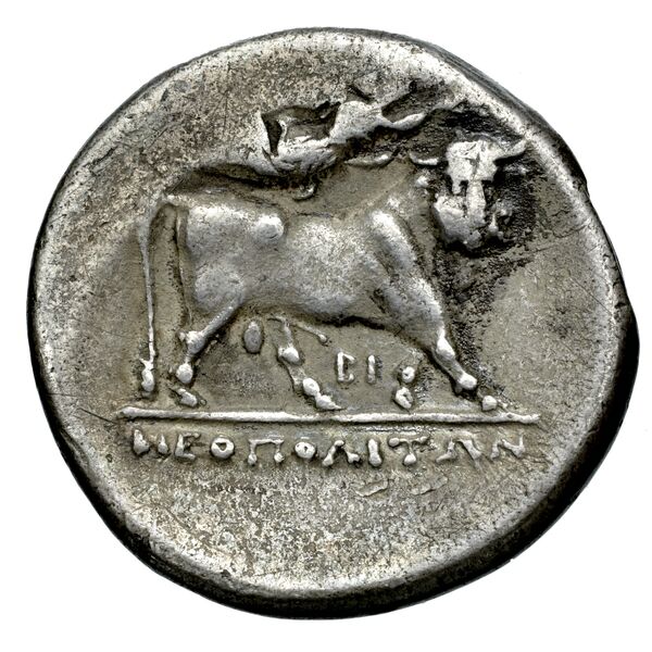 Neapolis Historia Numorum Italy 586, реверс, bnf-iris