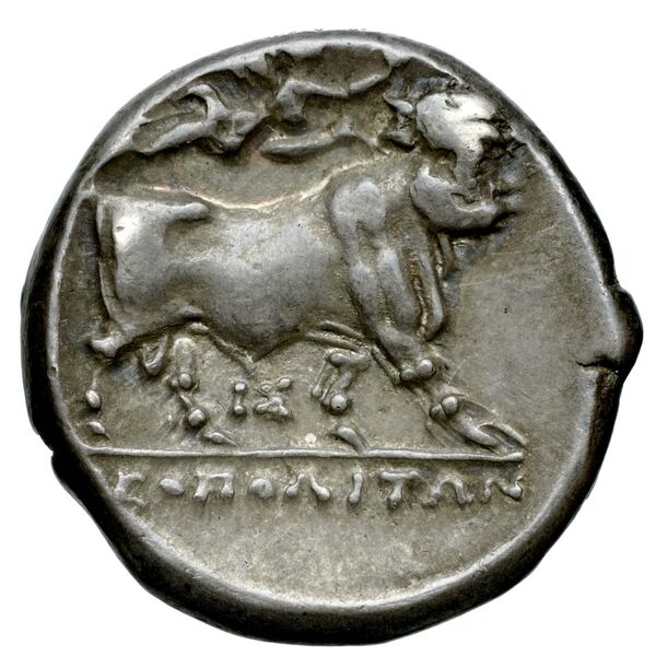 Neapolis Historia Numorum Italy 586, реверс, bnf-iris