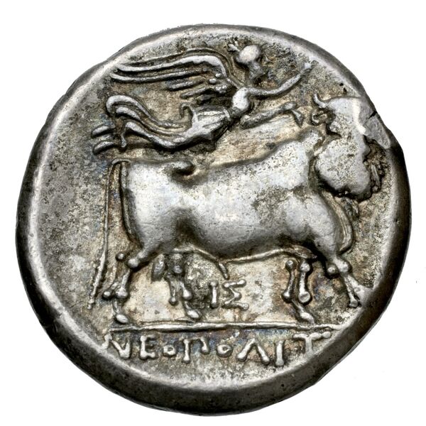 Neapolis Historia Numorum Italy 586, реверс, bnf-iris