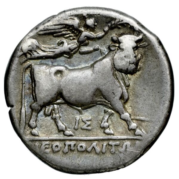 Neapolis Historia Numorum Italy 586, реверс, bnf-iris
