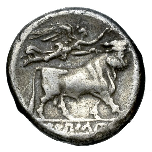 Neapolis Historia Numorum Italy 586, реверс, bnf-iris