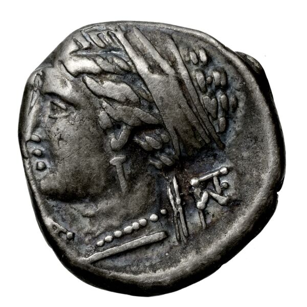 Corinth BMC Corinth 260, реверс, bnf-iris
