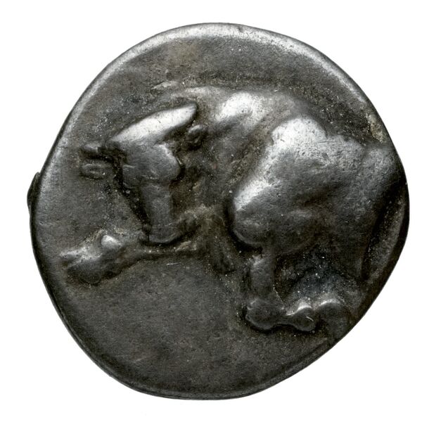 Phlius BMC Phlius 8-11, аверс, BnF (IRIS)