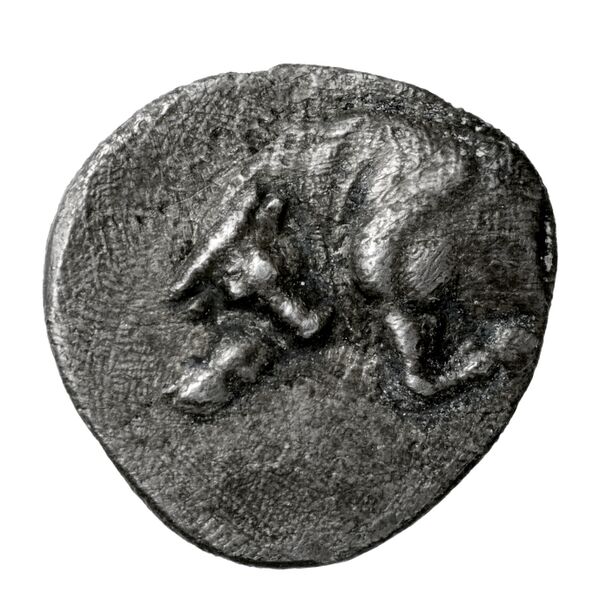 Phlius BMC Phlius 8-11, аверс, BnF (IRIS)