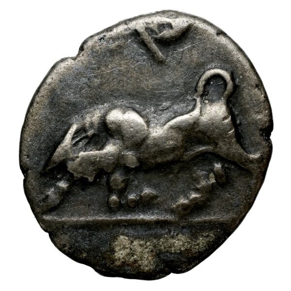 Phlius BMC Phlius 18-22, аверс, BnF (IRIS)