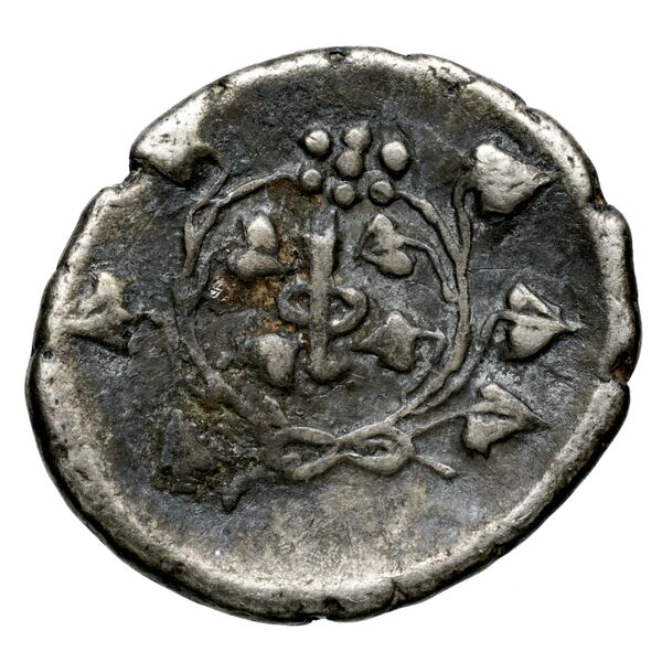 Phlius BMC Phlius 18-22, реверс, BnF (IRIS)