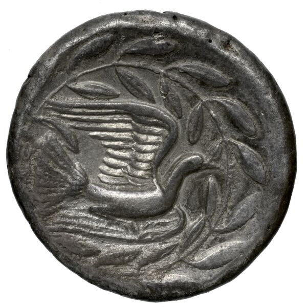 Sicyon BMC Sicyon 22-5; 30-3, реверс, bnf-iris