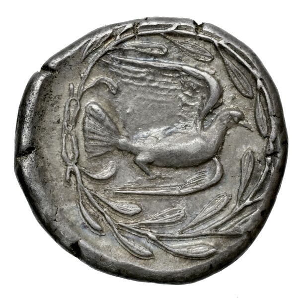 Sicyon BMC Sicyon 22-5; 30-3, реверс, bnf-iris