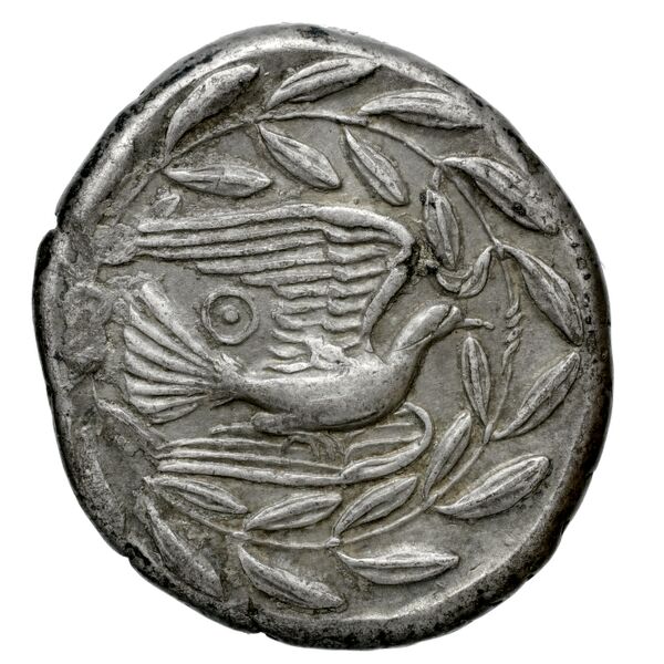 Sicyon BMC Sicyon 22-5; 30-3, реверс, bnf-iris
