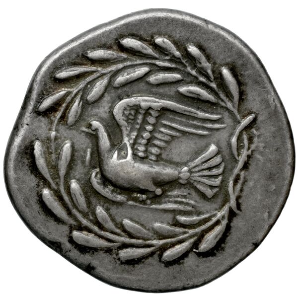 Sicyon BMC Sicyon 46-68, реверс, bnf-iris