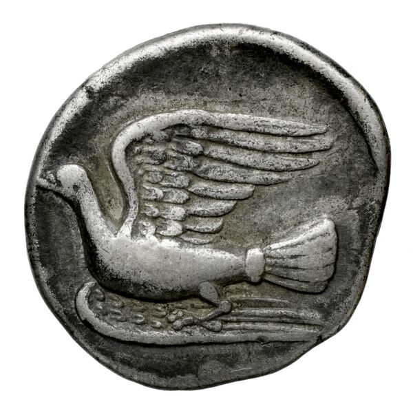 Sicyon BMC Sicyon 69-76, реверс, bnf-iris