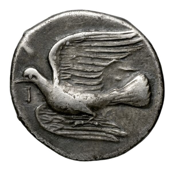 Sicyon BMC Sicyon 69-76, реверс, bnf-iris