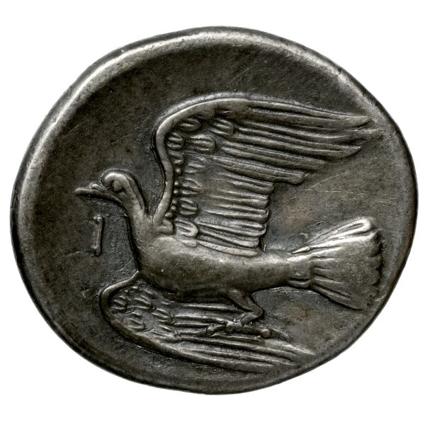 Sicyon BMC Sicyon 69-76, реверс, bnf-iris