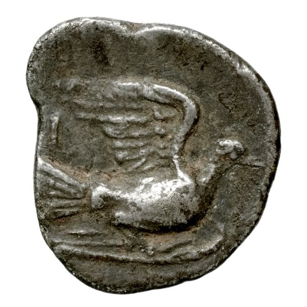 Sicyon BMC Sicyon 163-9, реверс, bnf-iris