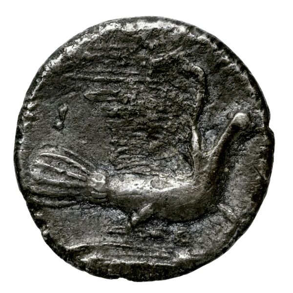 Sicyon BMC Sicyon 163-9, реверс, bnf-iris