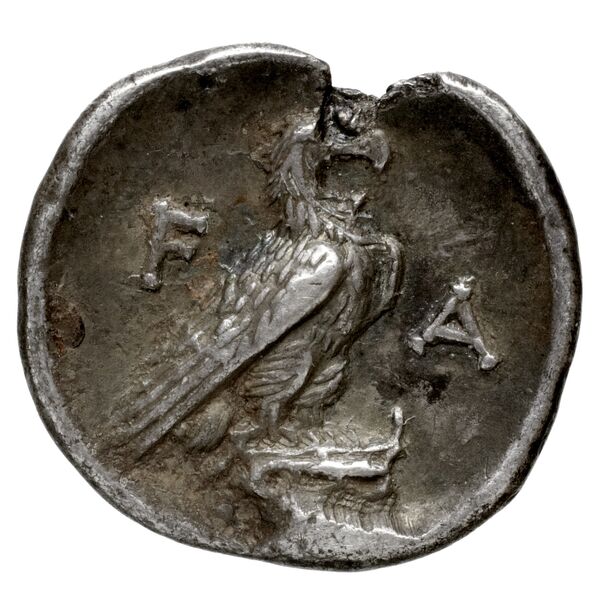 Elis BMC Elis 83, реверс, bnf-iris