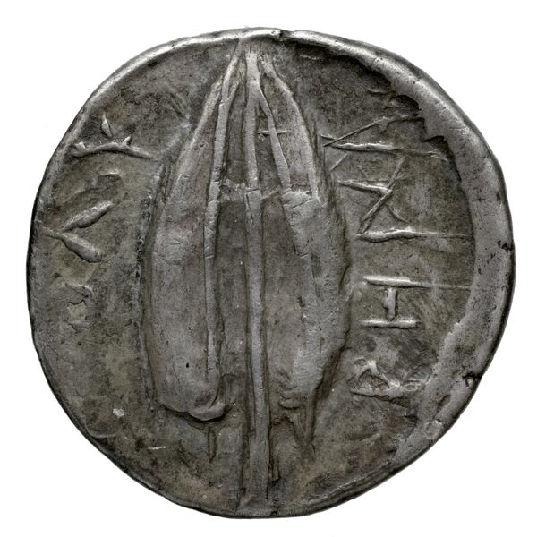 Polyrhenium Stefanakis 2013 10-22, реверс, bnf-iris
