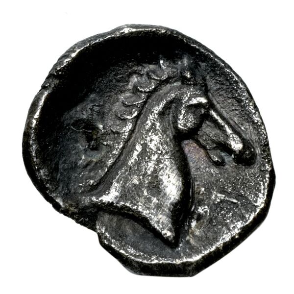 Taras Historia Numorum Italy 981, реверс, BnF (IRIS)