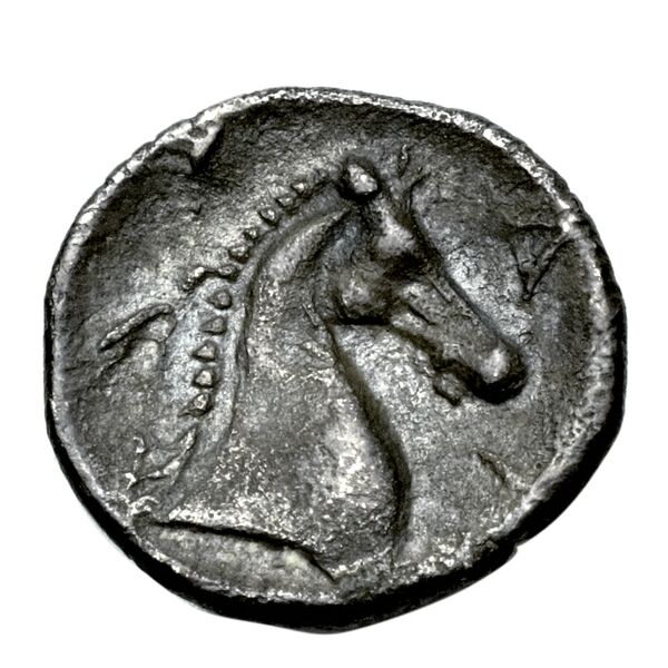 Taras Historia Numorum Italy 981, реверс, BnF (IRIS)
