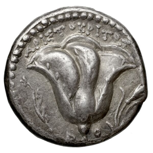 Rhodes Ashton 2001 212-6, реверс, bnf-iris