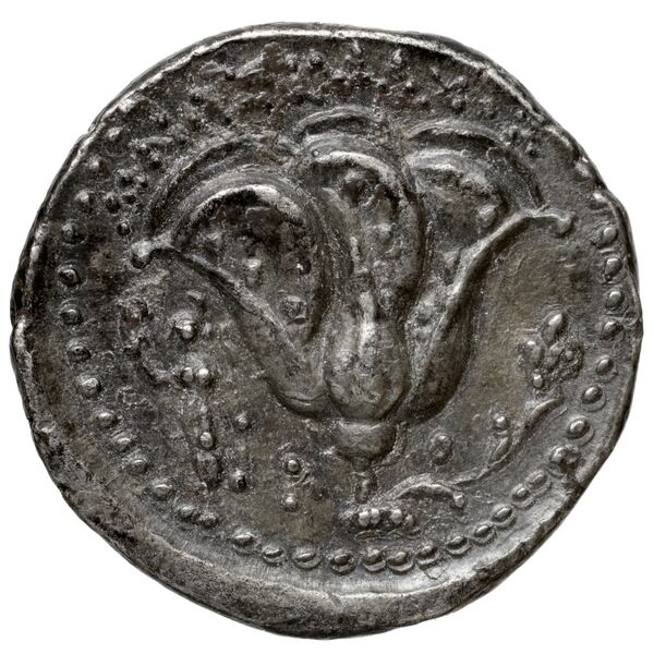 Rhodes Ashton 2001 206-9, реверс, bnf-iris