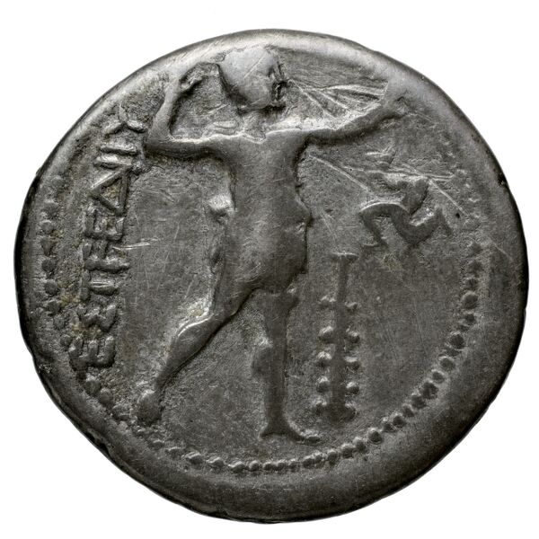 Aspendus BMC Aspendus 63-8, реверс, bnf-iris