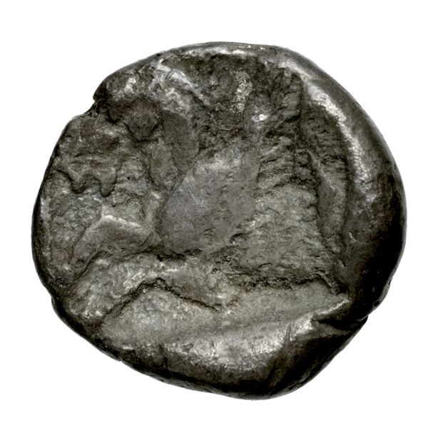 Celenderis Babelon 1910 1461, реверс, bnf-iris