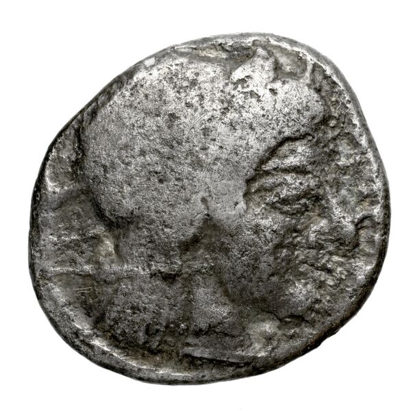 Lapethus BMC Lapethus 2-6, аверс, bnf-iris