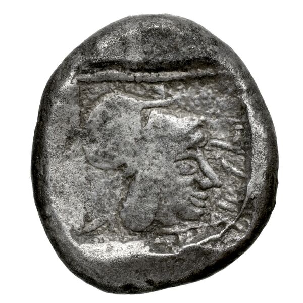 Lapethus BMC Lapethus 2-6, реверс, bnf-iris