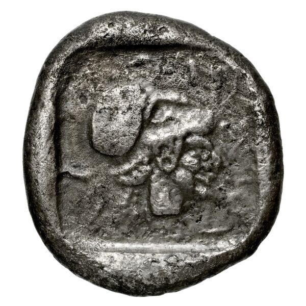 Lapethus BMC Lapethus 2-6, реверс, bnf-iris